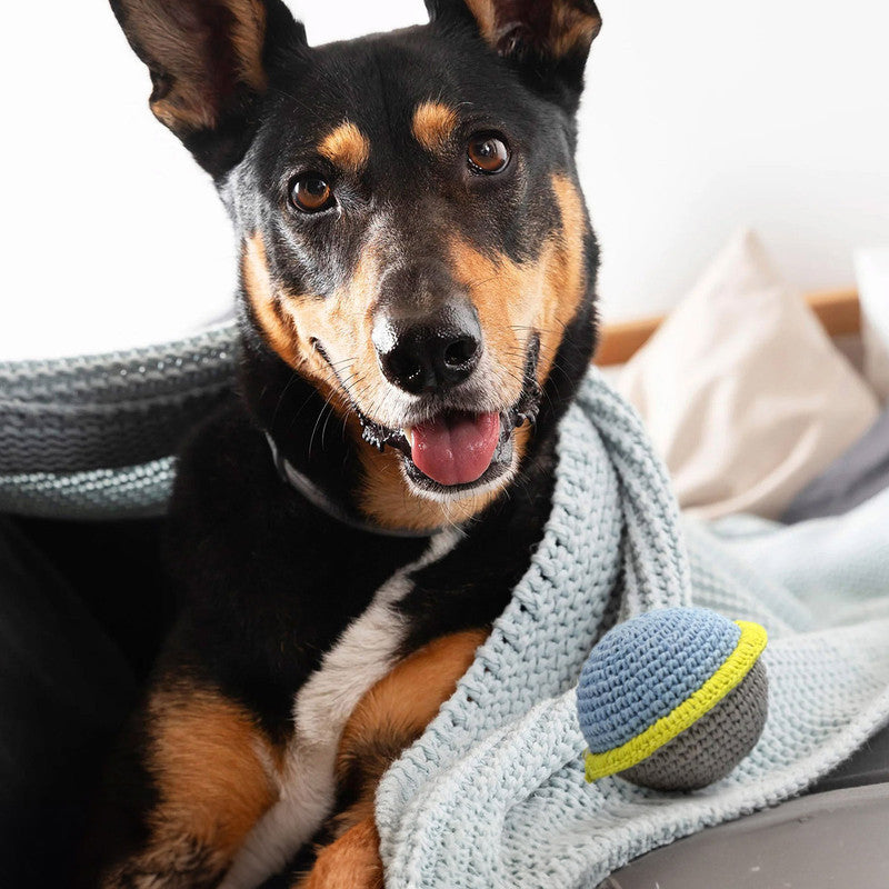 Space-Time Sphere Toy For Dogs | Cotton Crochet Yarn | Multicolour、mySite、camillekostekn