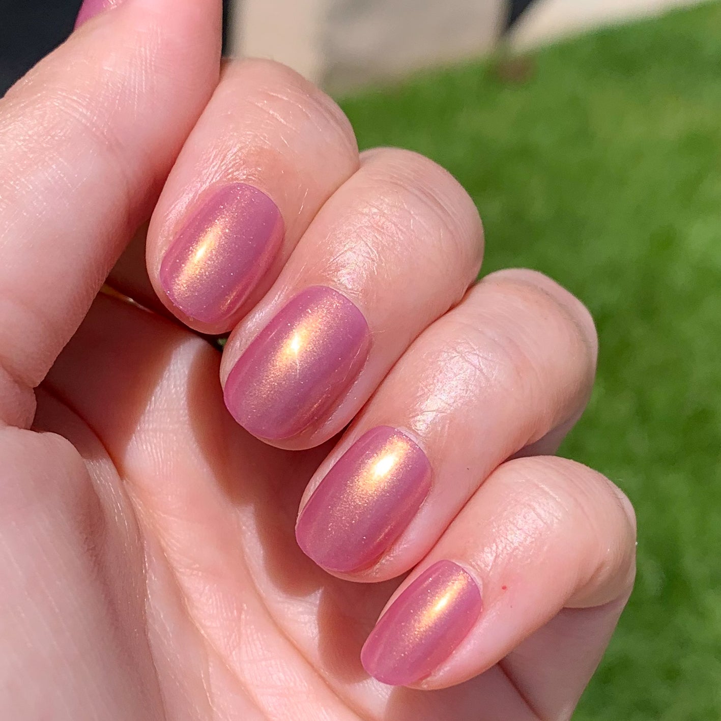 Baby Starfish | Round | Extra Short、mySite、solidvoid