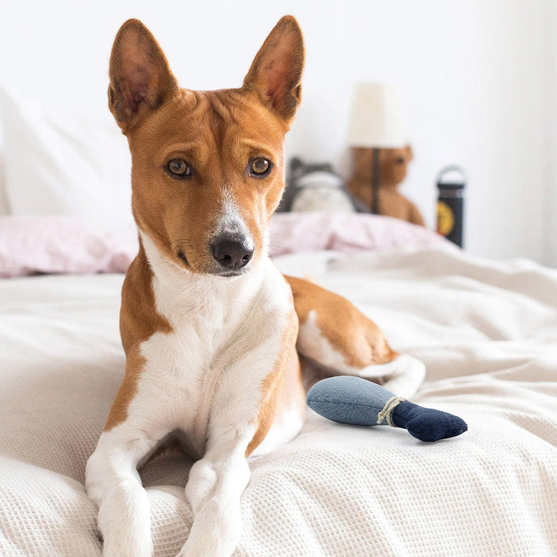 Denim Drumstick Dynamo Toy For Dogs | Blue、mySite、camillekostekn