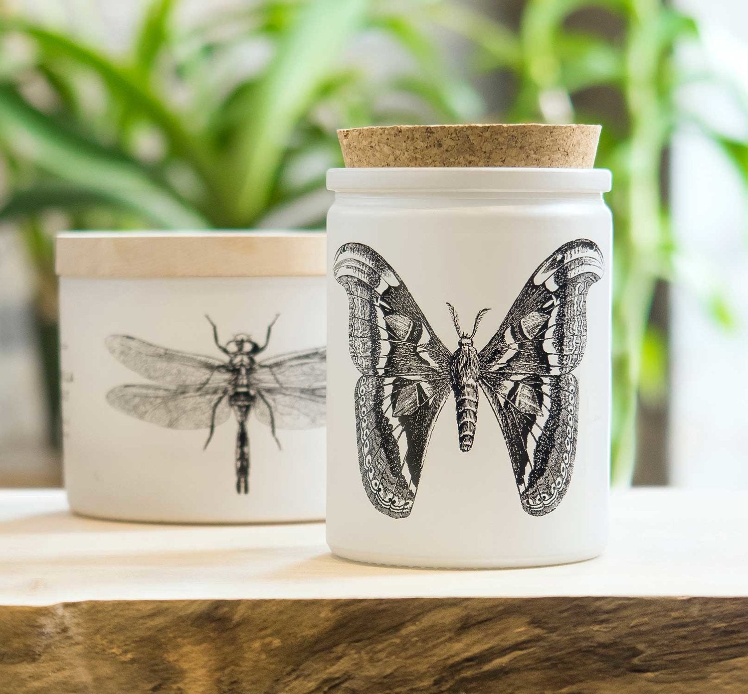  Citronella Sea Salt Candle、mySite、elrpsem3k