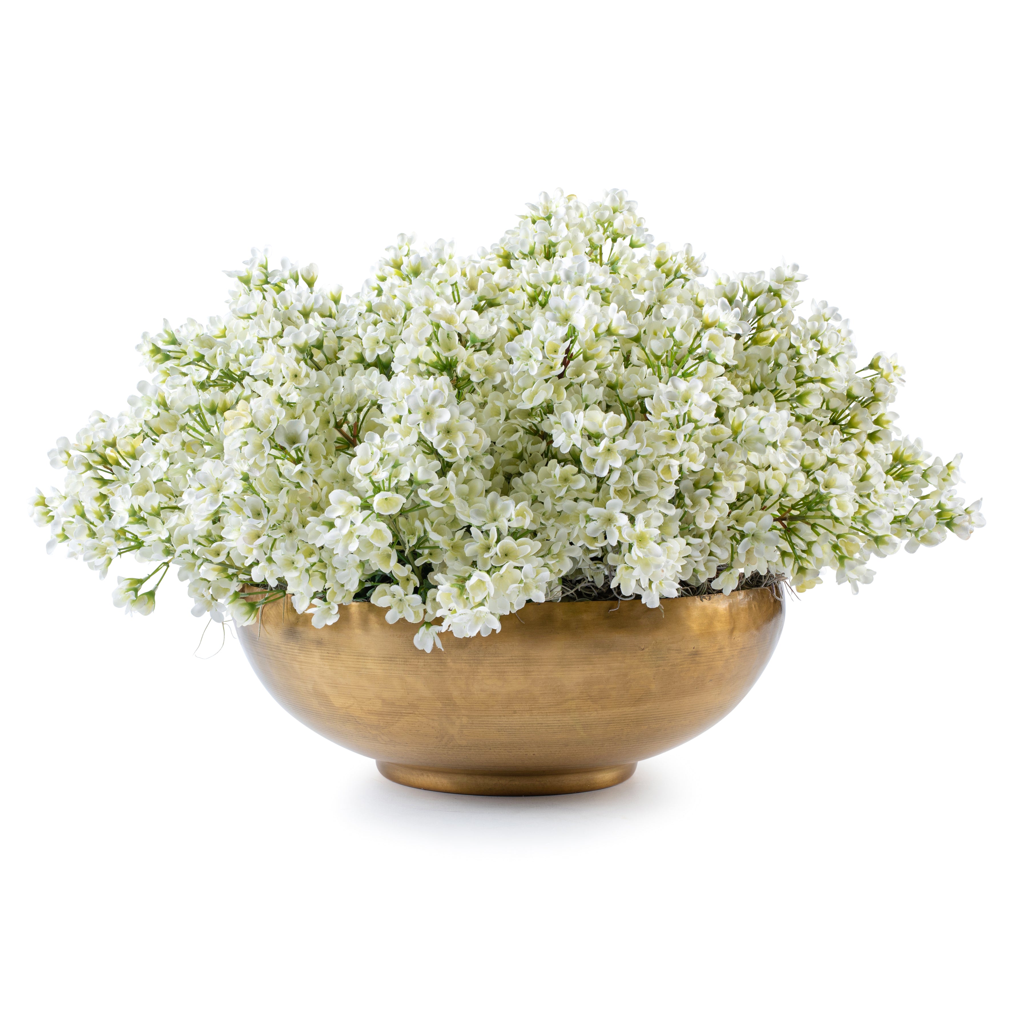  DH White Bud Floral、mySite、elrpsem3k