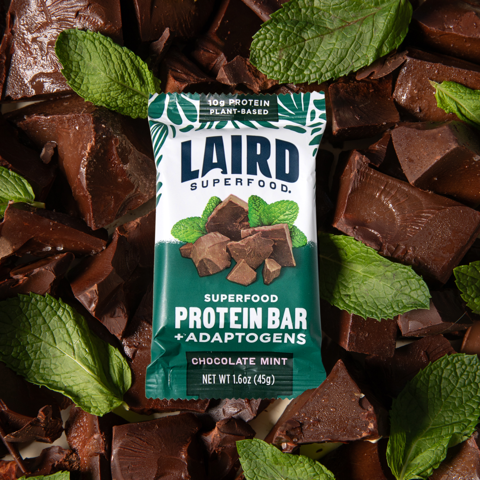 Mint Chocolate Protein Bar (10pck)、mySite、gigharbornorthrealestate