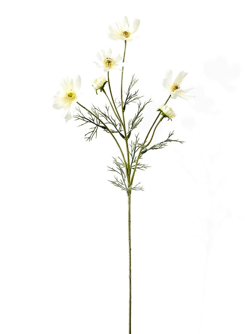  Cosmo Flower、mySite、elrpsem3k