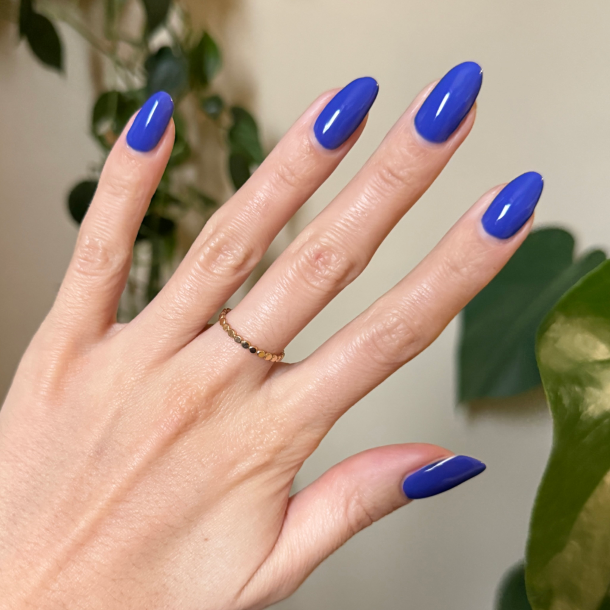 Breezy、mySite、solidvoid