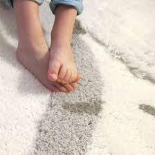 Tilky Grey Area Rug、mySite、gigharbornorthrealestate