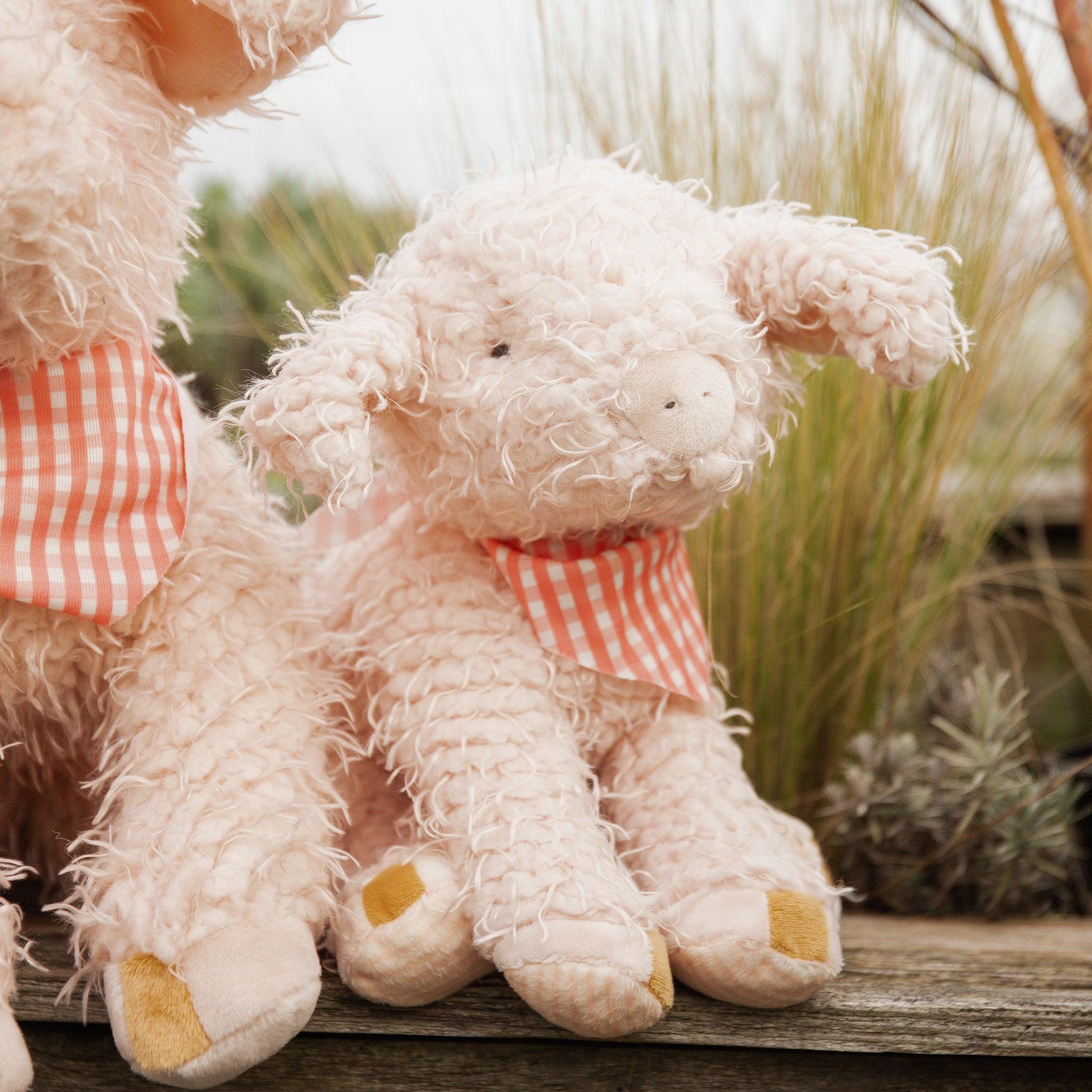 Hammie、mySite、g9winljtr