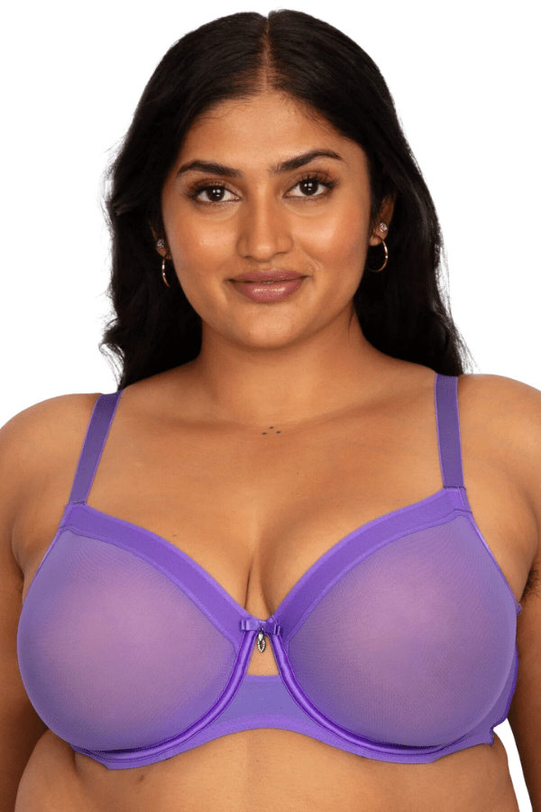 Sheer Mesh Unlined Underwire Bra - Violet、mySite、bengalsvssteelers