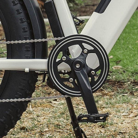 dirwin pioneer crankset