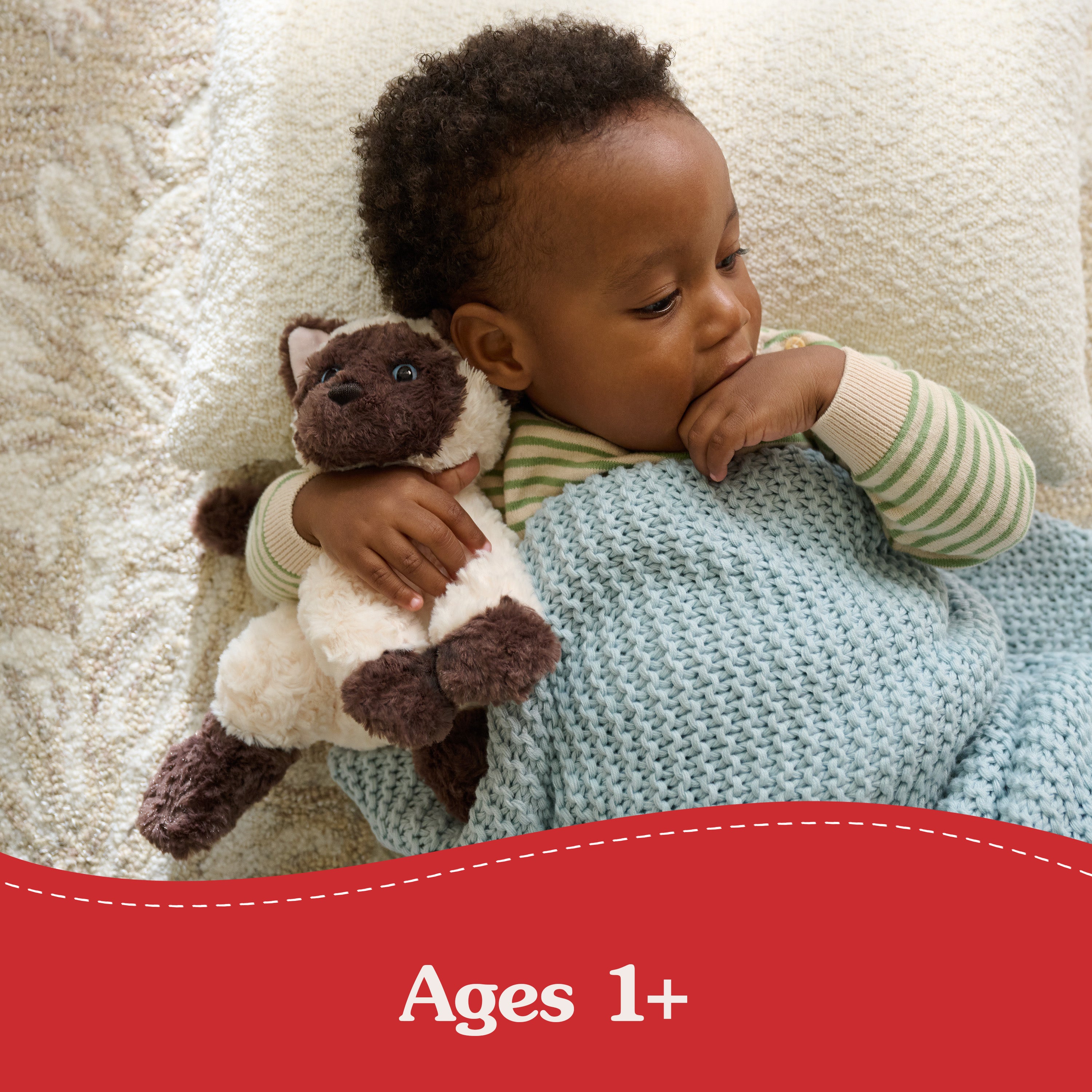 Bootsie Siamese Kitten, 9 in、mySite、pszhyizbm