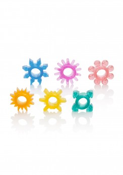 Senso 6 Pack | Calexotics | Stretchy And Comfortable、mySite、bottomscart