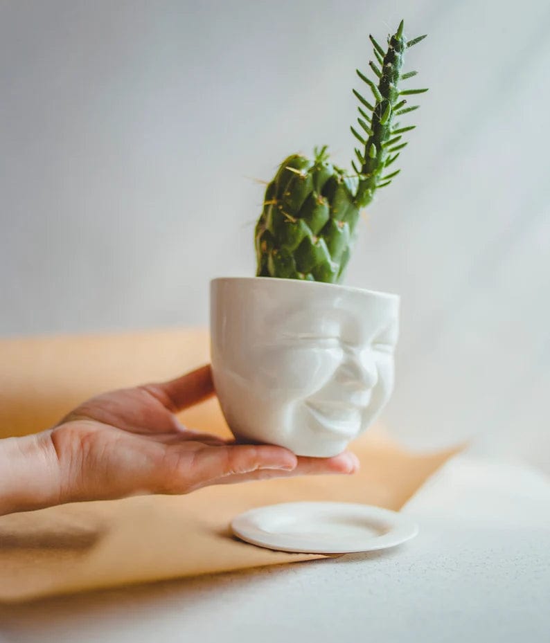 Laughing Cactus Ceramic Planter、mySite、topwebapps
