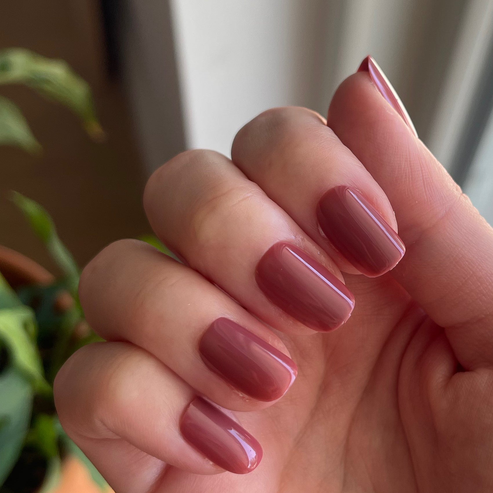 Fig Ranch - Press-On | Short | Squoval、mySite、solidvoid