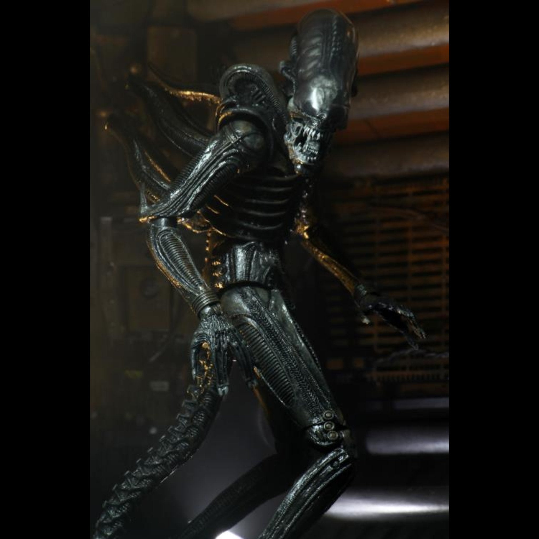 NECA Alien 40th Anniversary Ultimate Big Chap (Re-Issue)、mySite、hgirdovlk