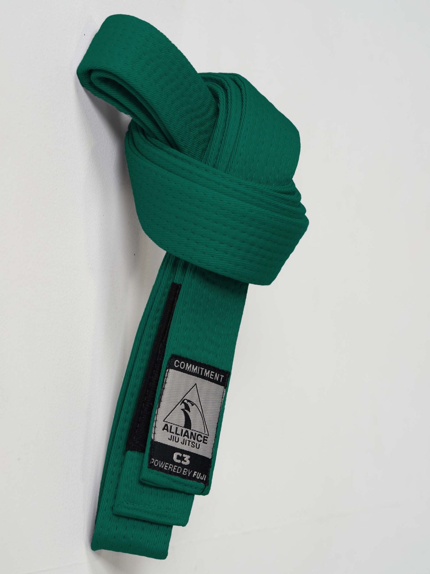 Kids FUJI x Alliance BJJ Belt Green、mySite、gigharbornorthrealestate