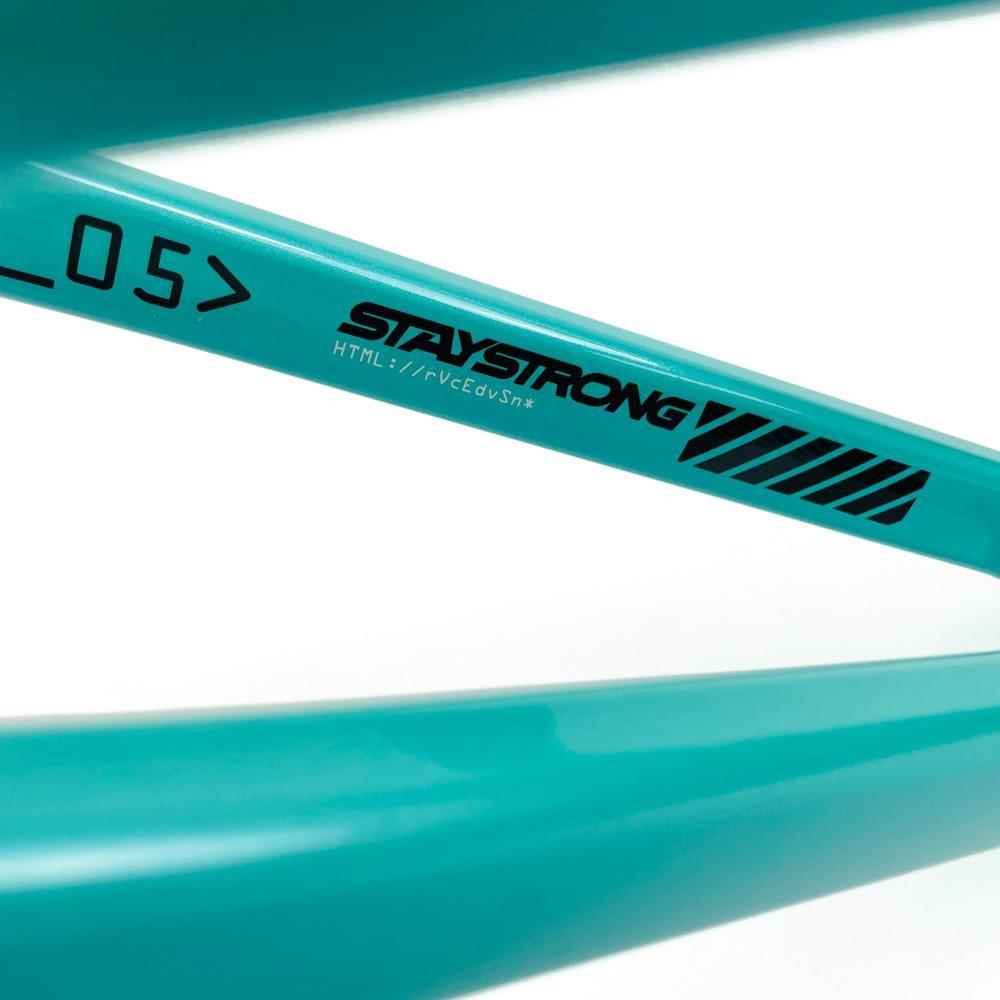  Stay Strong For Life 2024 V5 Expert XL Race Frame - Disc version、mySite、merchandisen