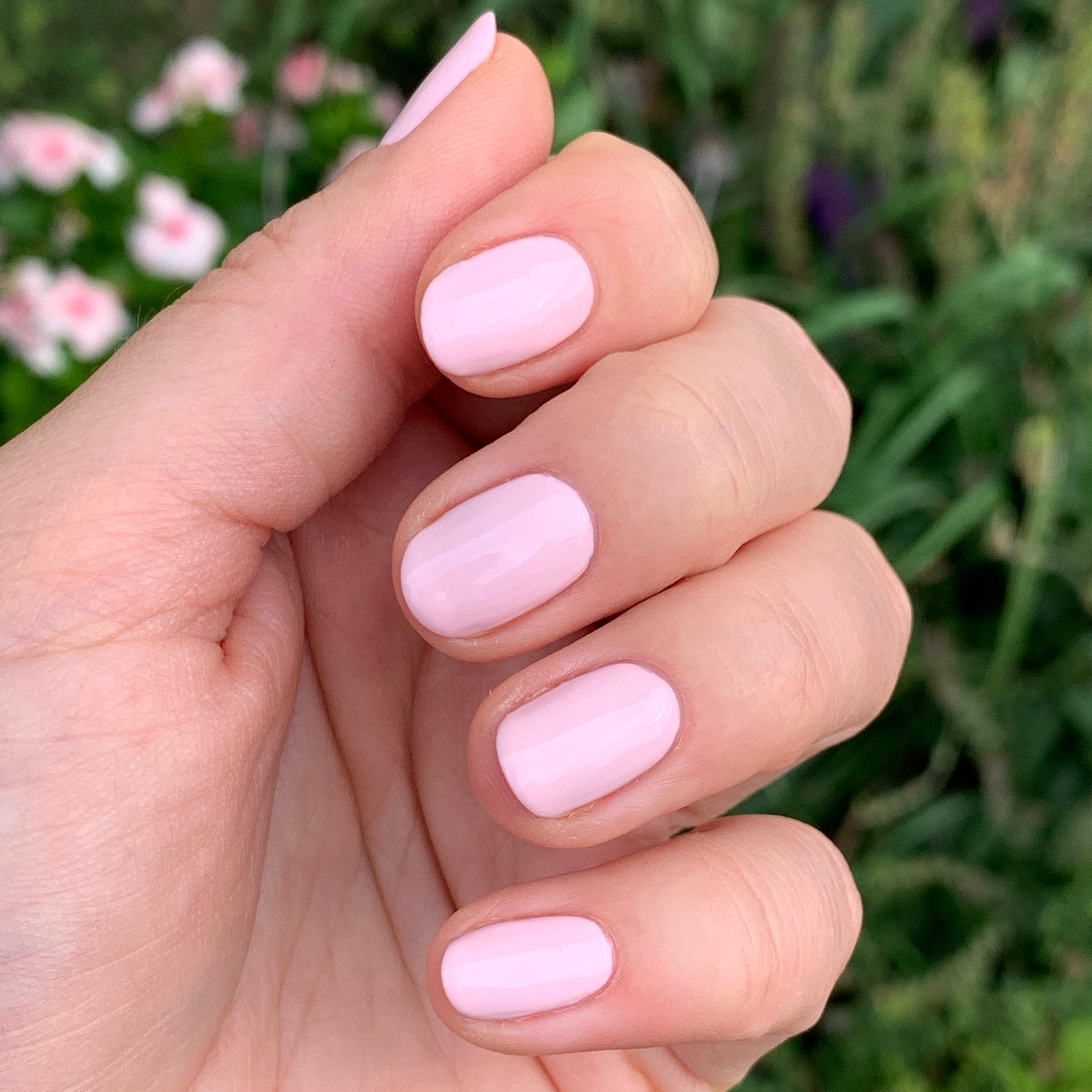 Rose Valley、mySite、solidvoid