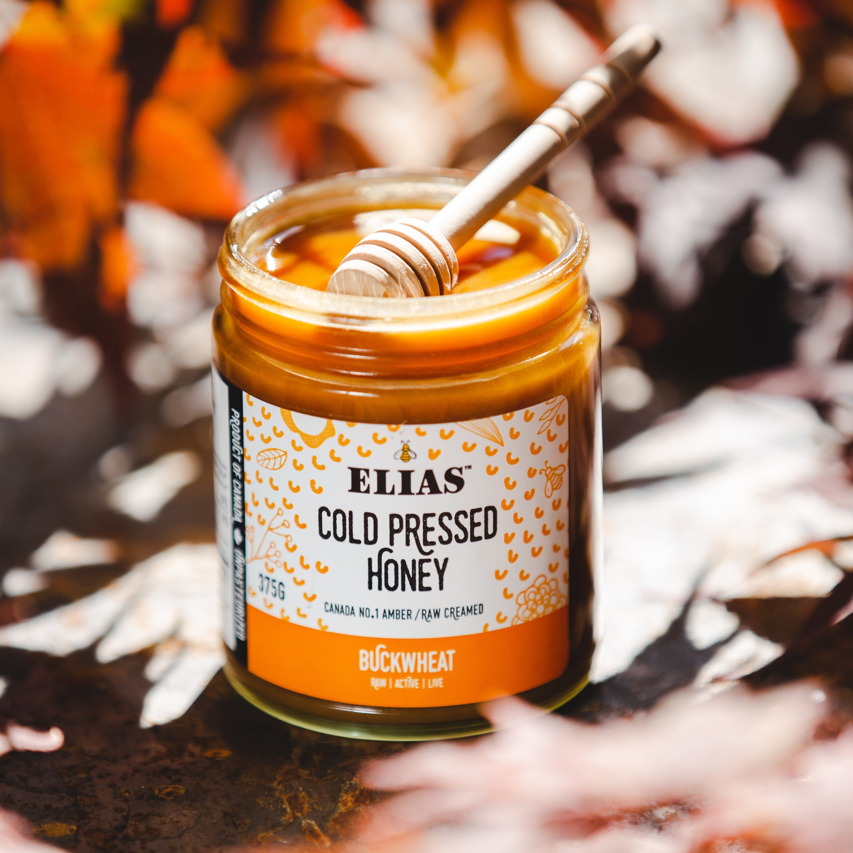 The Immunity Boosting Bundle、mySite、gigharbornorthrealestate