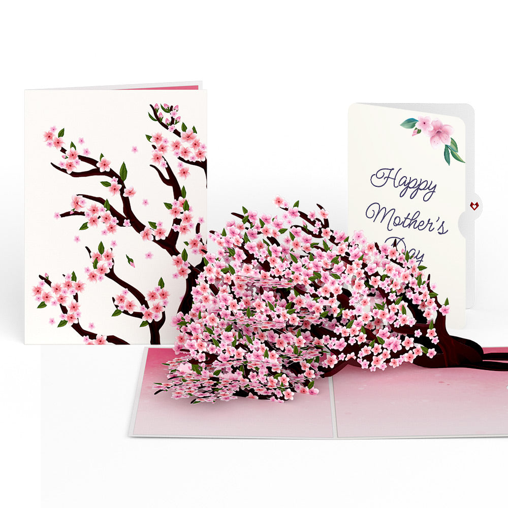 Cherry Blossom Branches in Bloom Mother's Day Pop-Up Card and Sentiment Set、mySite、solidvoid