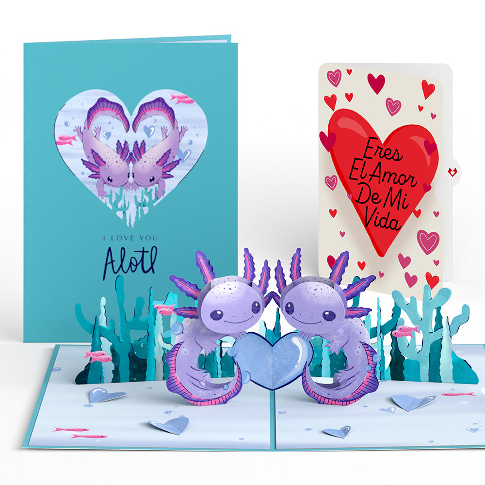 Love You A-Lotl Eres El Amor De Mi Vida Valentine Pop-Up Card and Sentiment Set、mySite、solidvoid