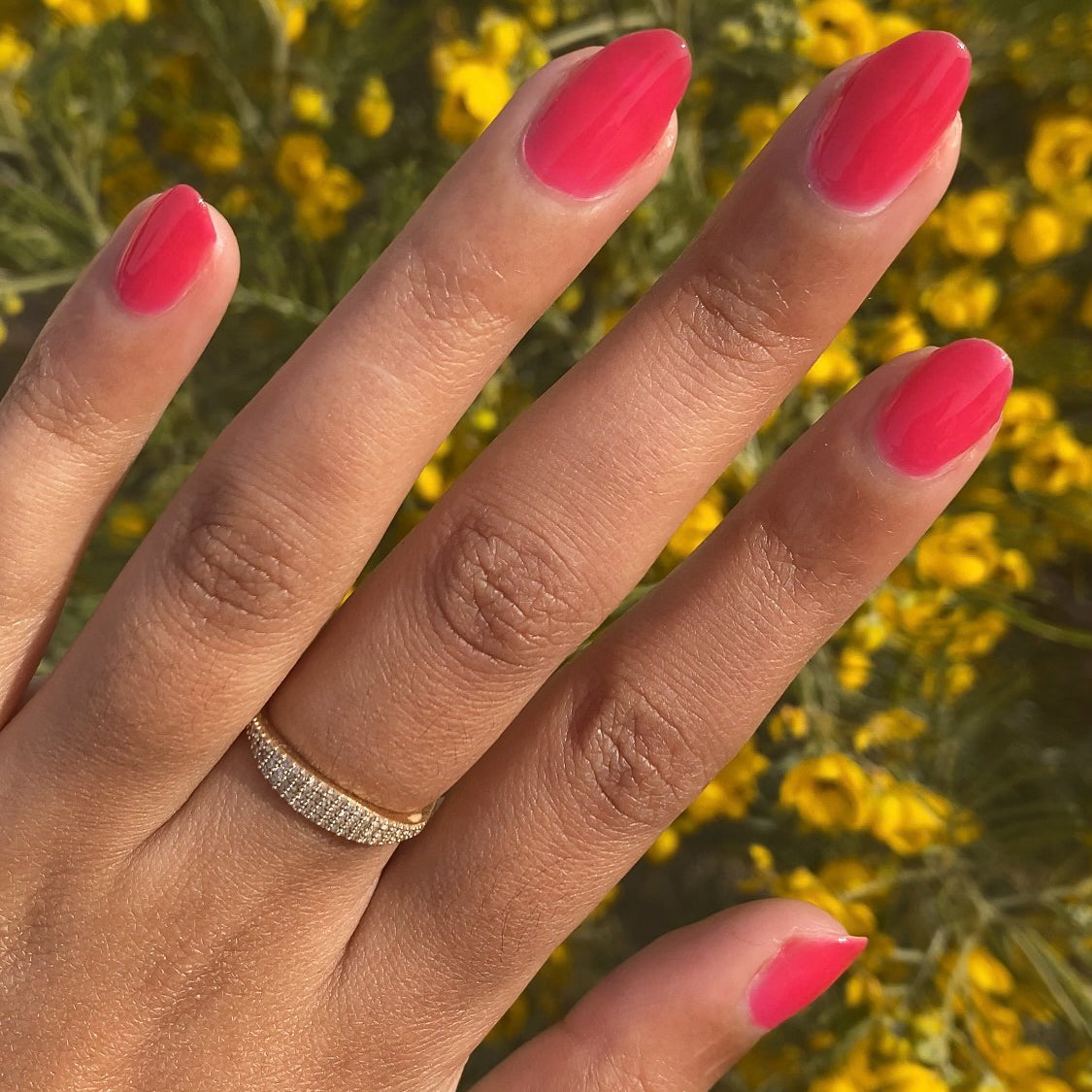 Strawberries Are in Season Right Now、mySite、solidvoid