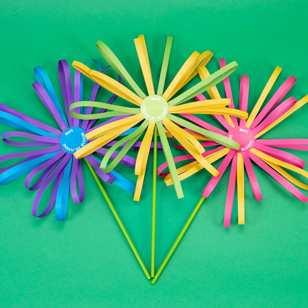 A Year of Jewish Holidays in a Box Kits - 9 Boxes、mySite、topwebapps