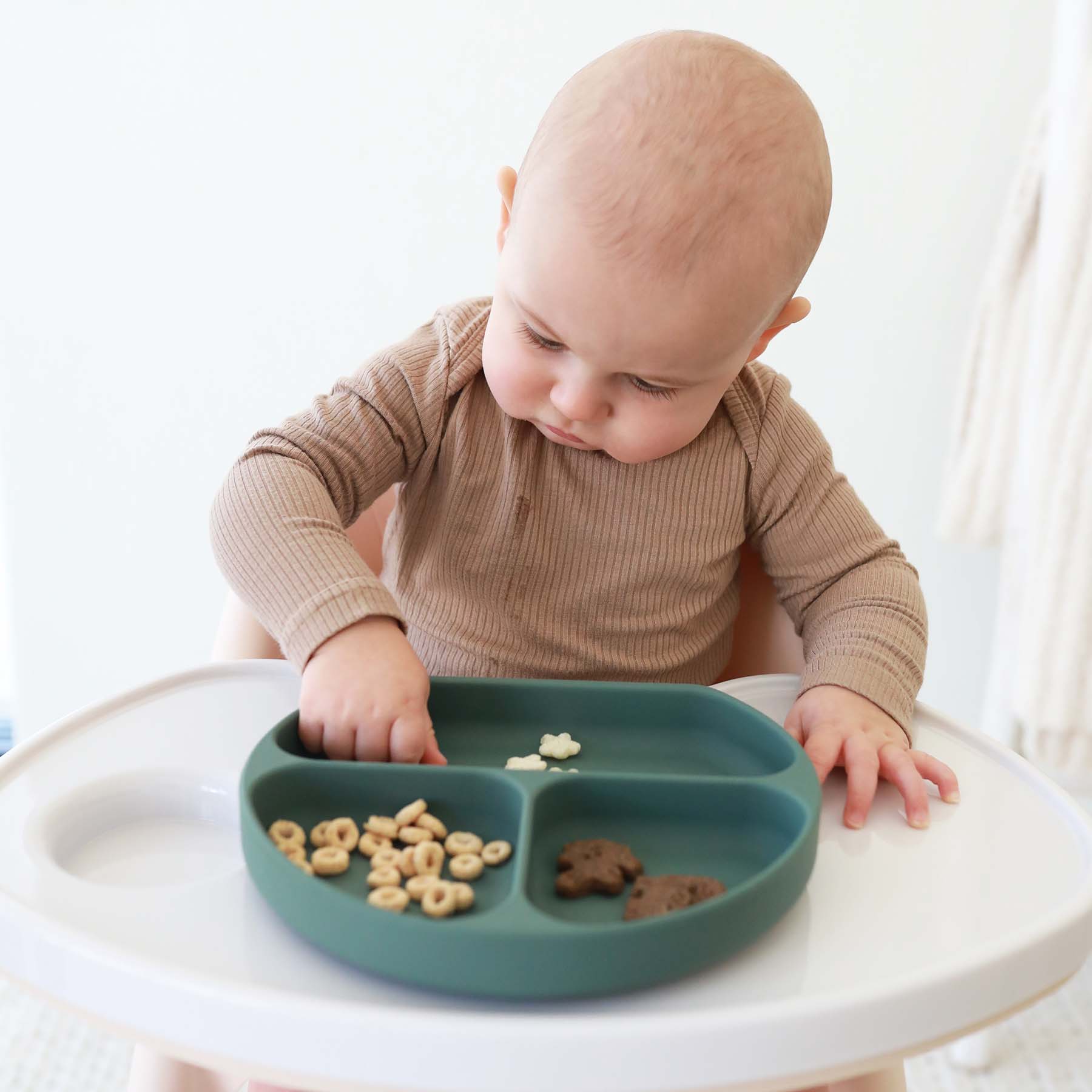  Silicone Suction Plate、mySite、layawaytickets