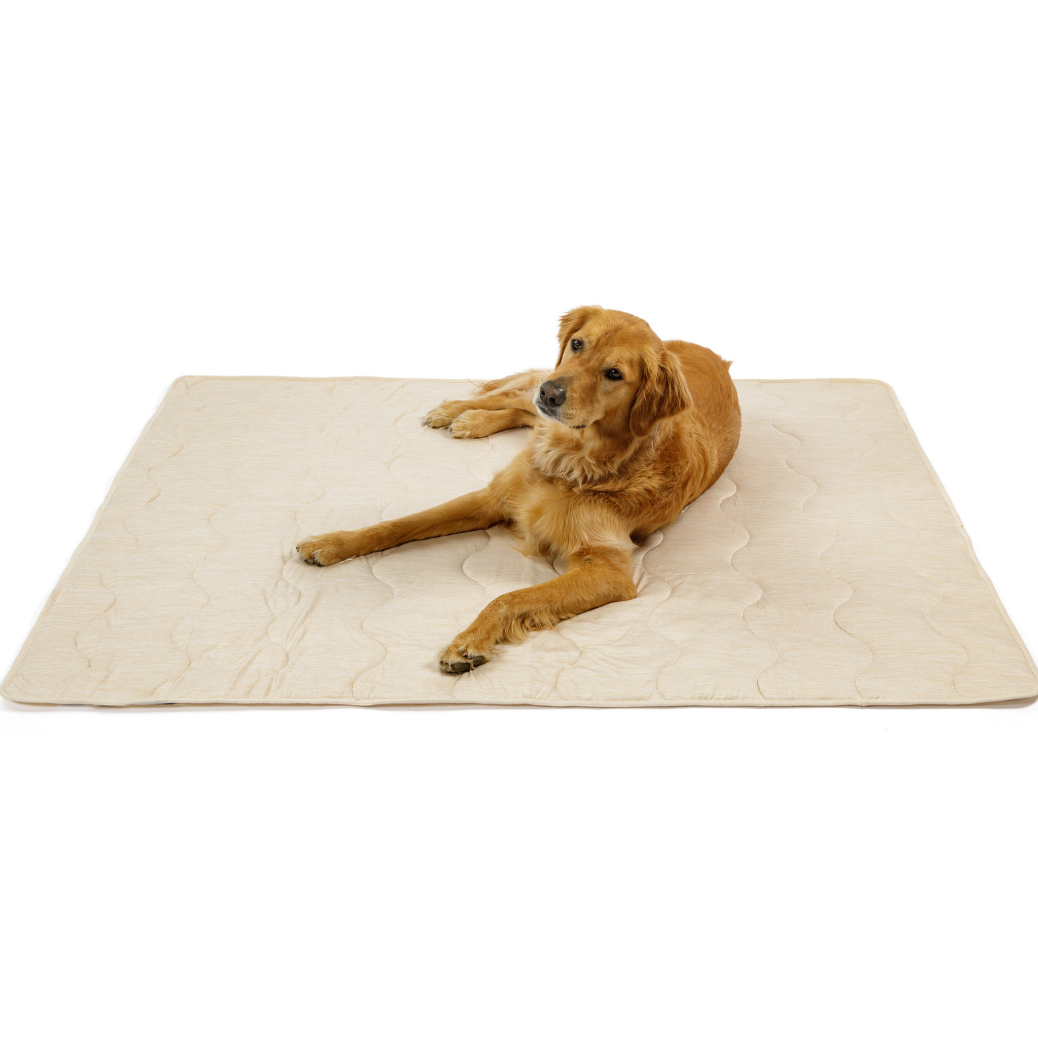PupChill™ Cooling Waterproof Blanket - Arctic Sand、mySite、solidvoid