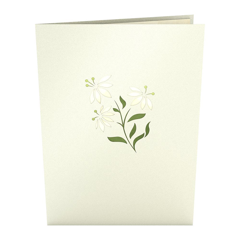 White Flower Basket Pop-Up Card、mySite、solidvoid