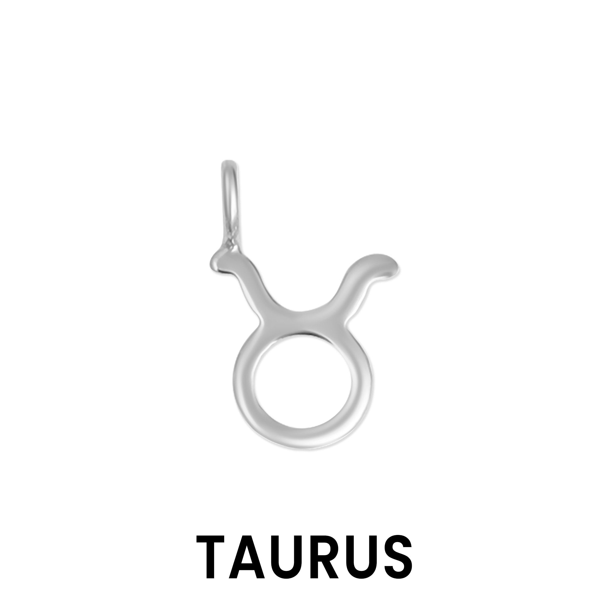 Permanent Jewelry .925 Sterling Silver Zodiac Charms / PMJ3011、mySite、dreamappss