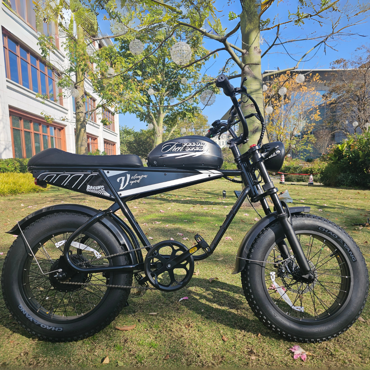 Aipas® Ebike Combo Sale V1*2、mySite、gigharbornorthrealestate