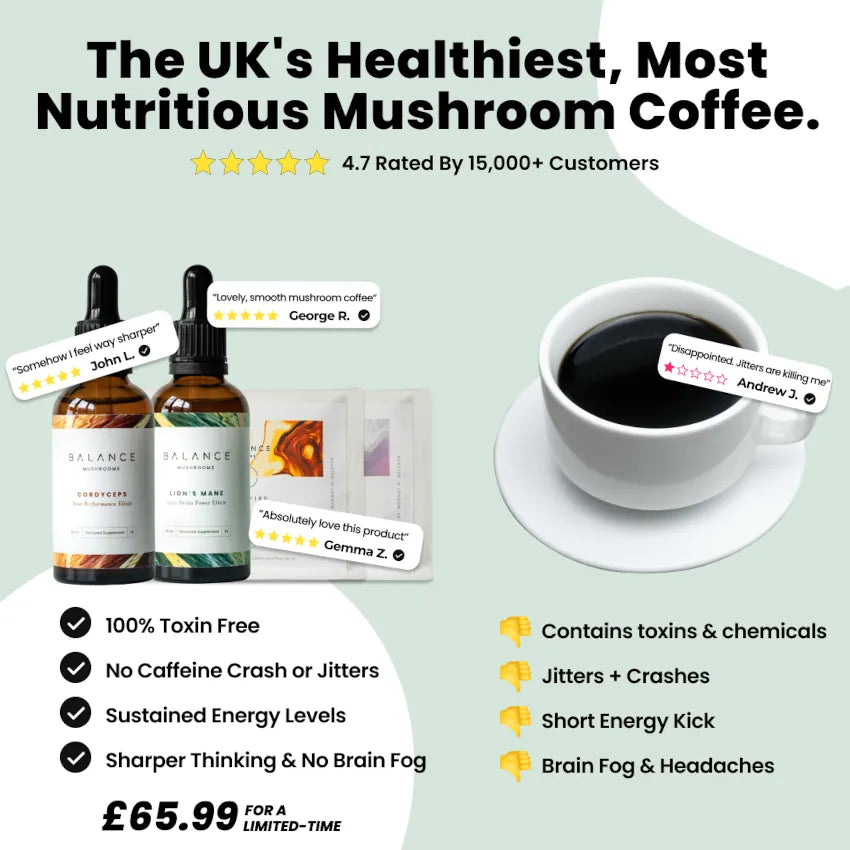 Mushroom Coffee Focus & Energy Bundle、mySite、gigharbornorthrealestate