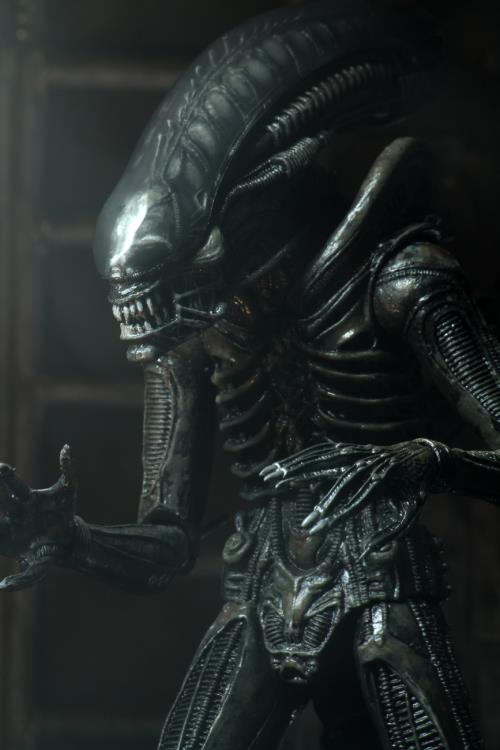 NECA Alien 40th Anniversary Ultimate Big Chap (Re-Issue)、mySite、hgirdovlk