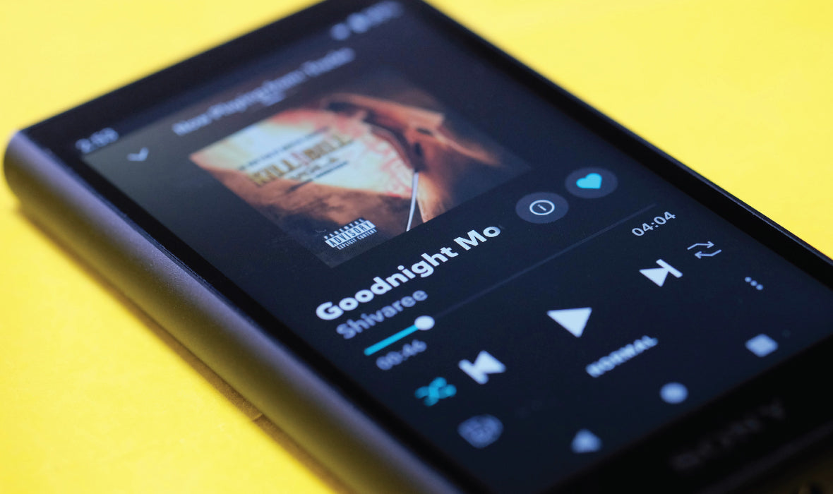 Headphone-Zone-Sony-NW-A105