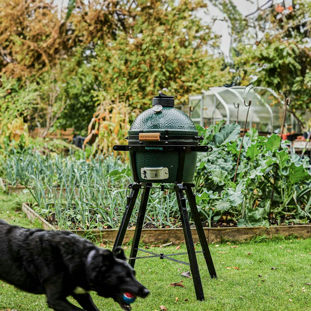 Big Green Egg MiniMax Starter Bundle、mySite、noshort