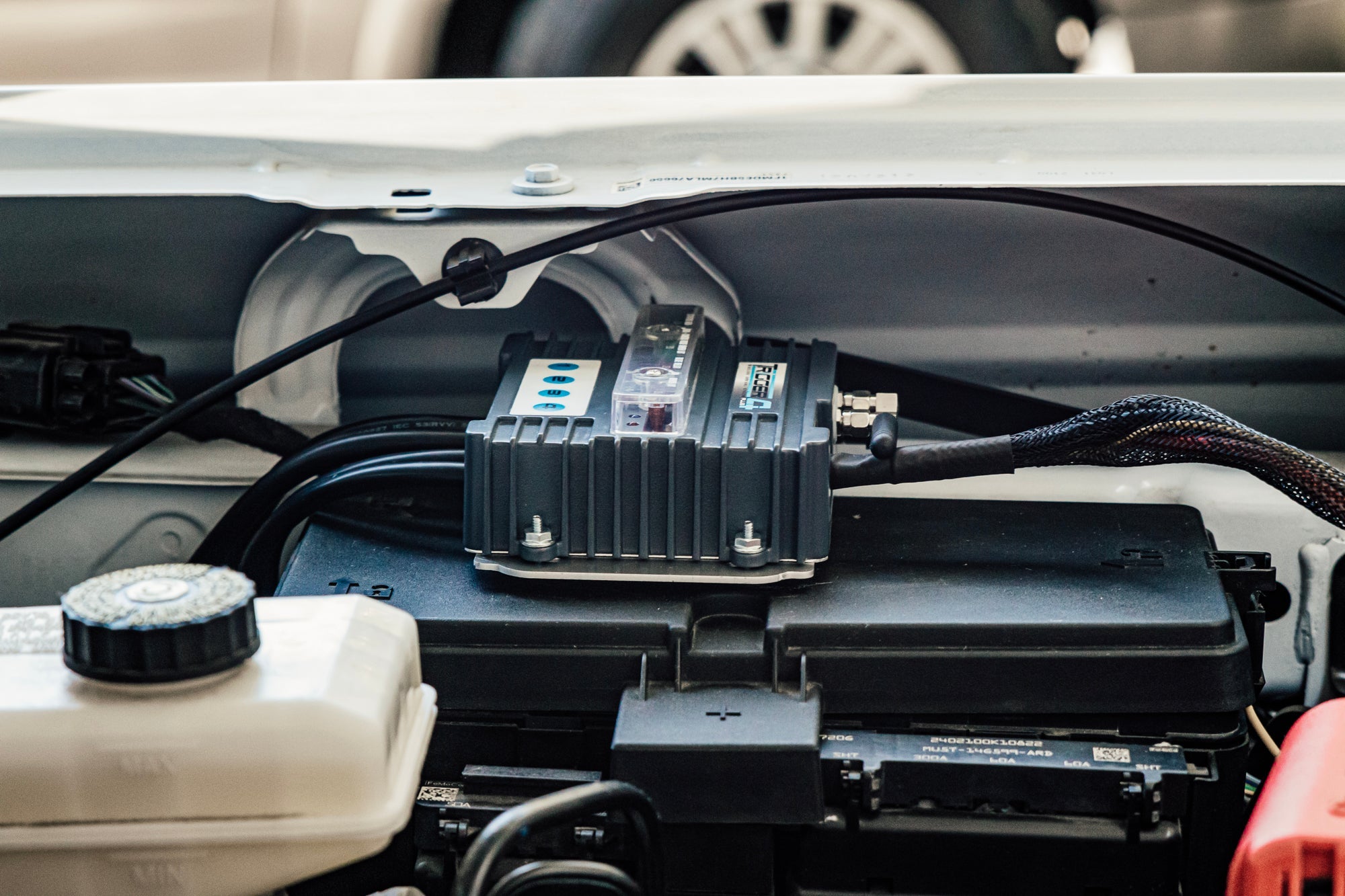 TRIGGER 4 PLUS Controller Combo Kits、mySite、nflplayoffbracketp