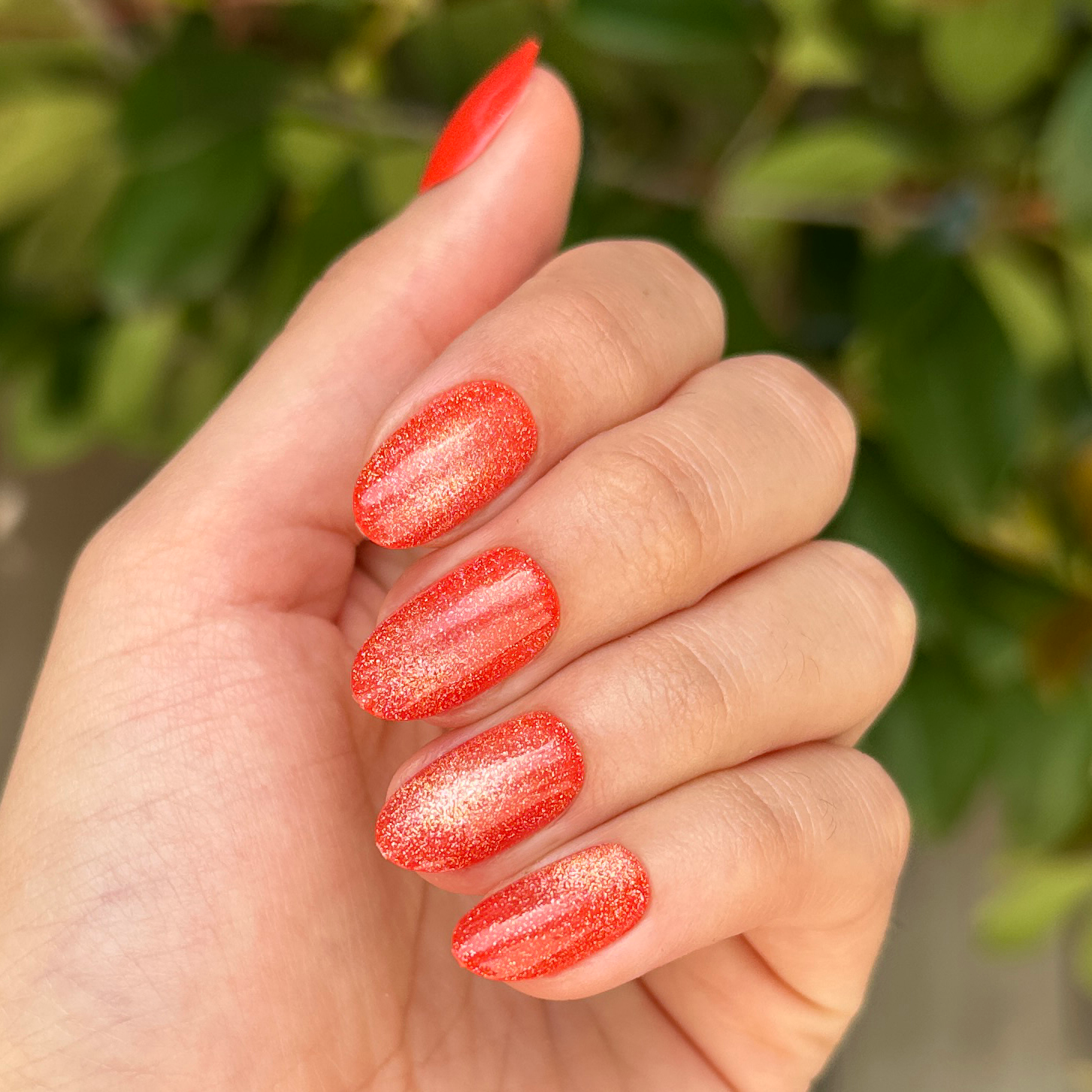 Velvet Lava - Press-On | Medium | Oval、mySite、solidvoid