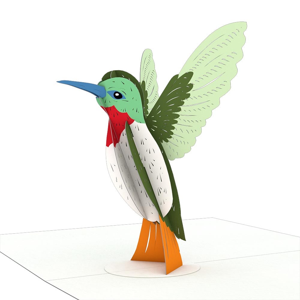 Hummingbird Notecards (4-Pack)、mySite、solidvoid