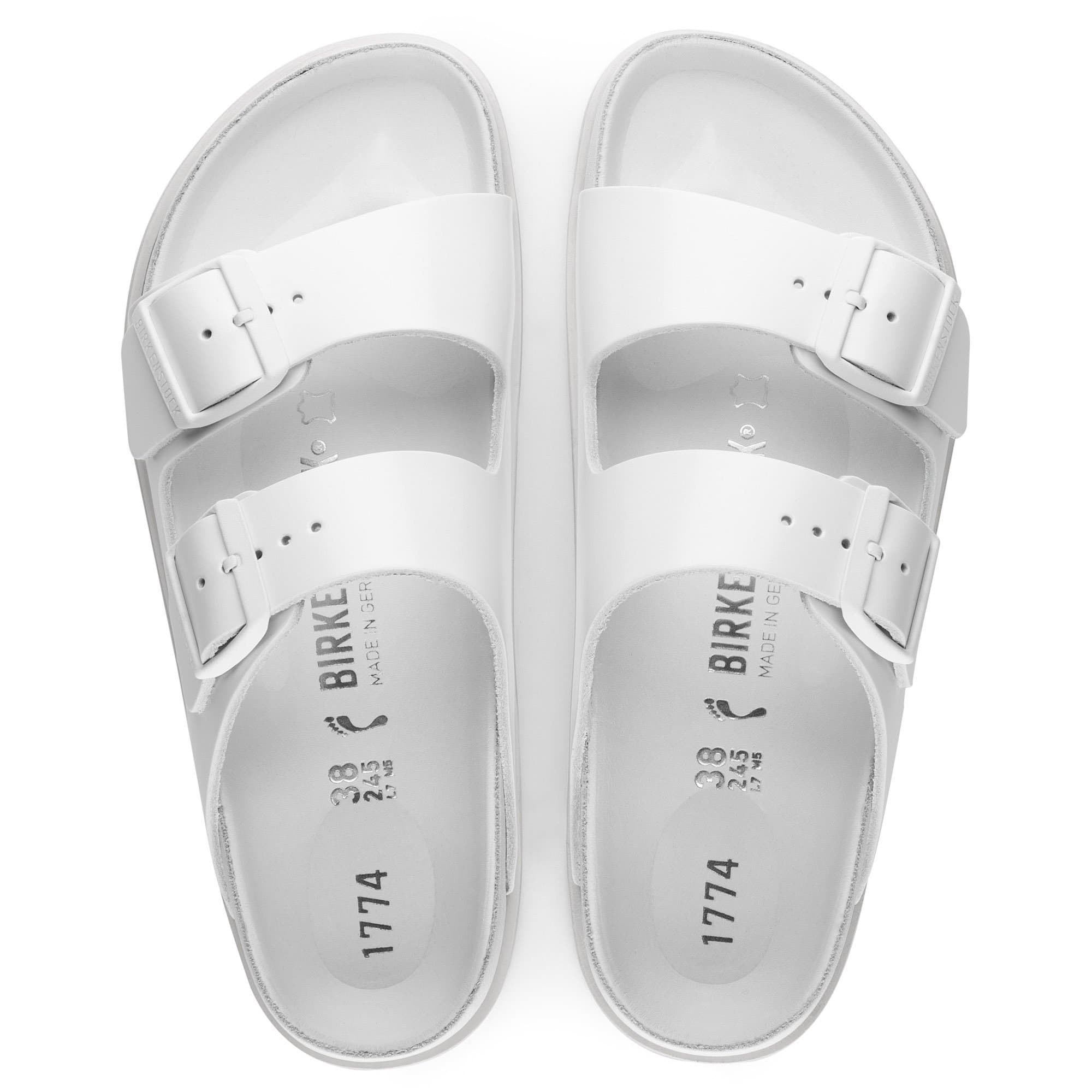 1774 Arizona、mySite、gtrtttuynbv