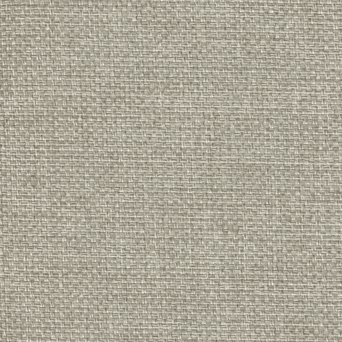 Grade B: Chess CH061、mySite、neckold