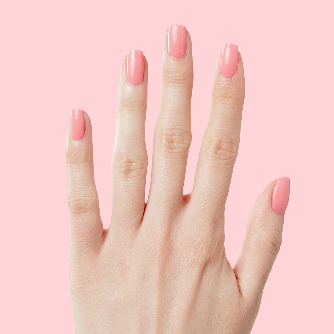 Pen Pal、mySite、solidvoid