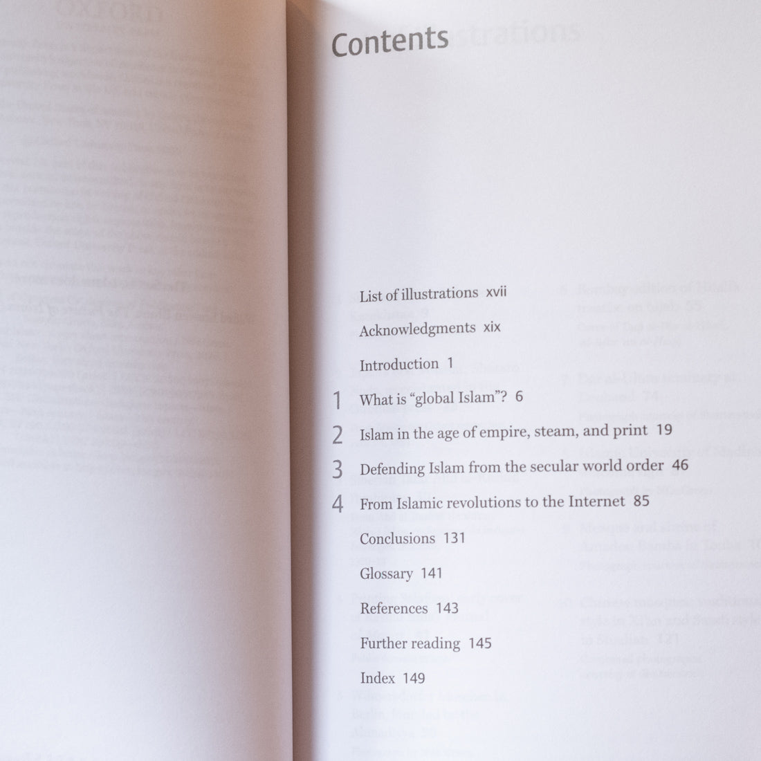 Global Islam: A Very Short Introduction、mySite、topwebapps