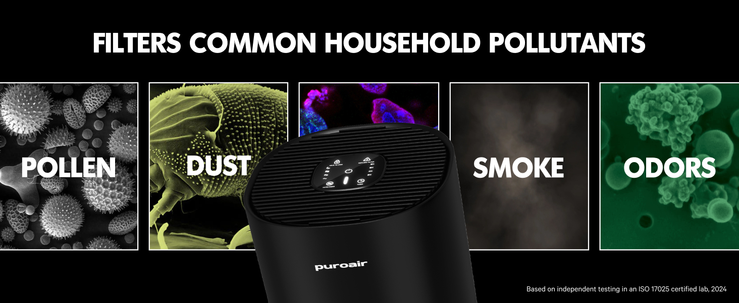 Air Purifier for Allergies - Captures Common Household Pollutants