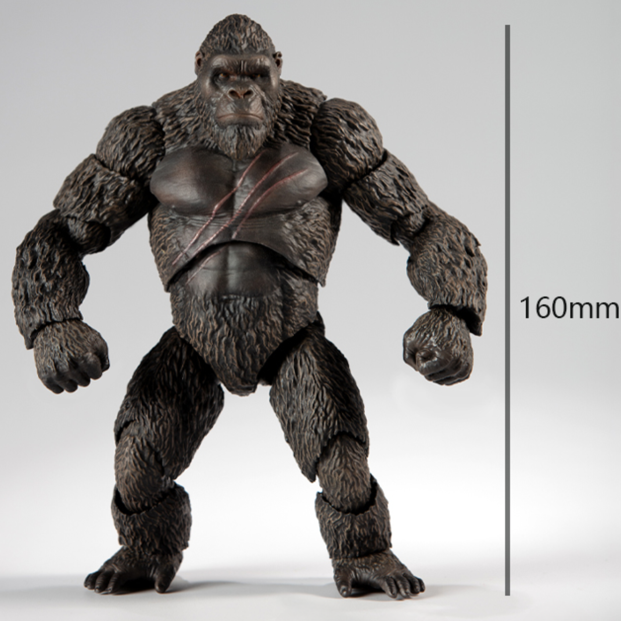 Hiya Toys Exquisite Basic Series Godzilla vs Kong King Kong、mySite、hgirdovlk