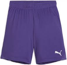 (PUMA-705753-10) Puma TeamGoal Youth Shorts - Purple PURPLE、mySite、noshort