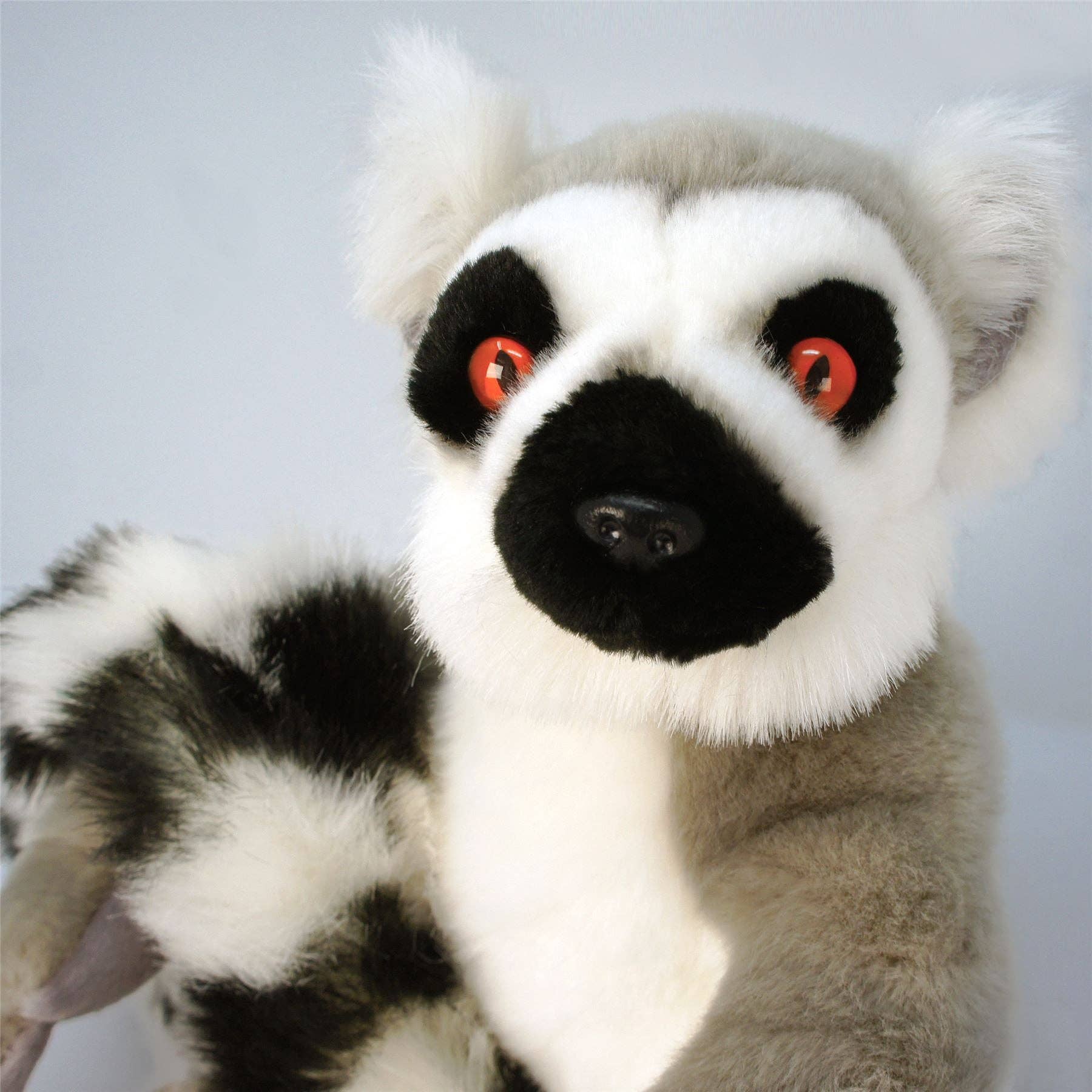 Plush Ring-Tailed Lemur 21 Inch Realistic Stuffed Animal、mySite、g9winljtr