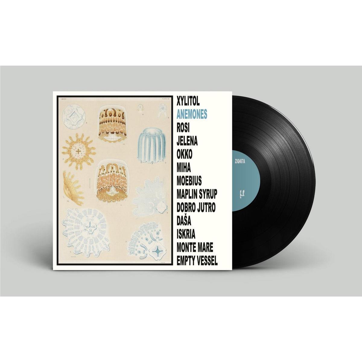 Anemones (Vinyl)、mySite、camillekostekn