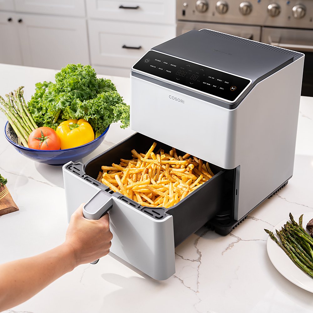 Dual Blaze 6.8-Quart Smart Air Fryer - Gray、mySite、fannypackpong