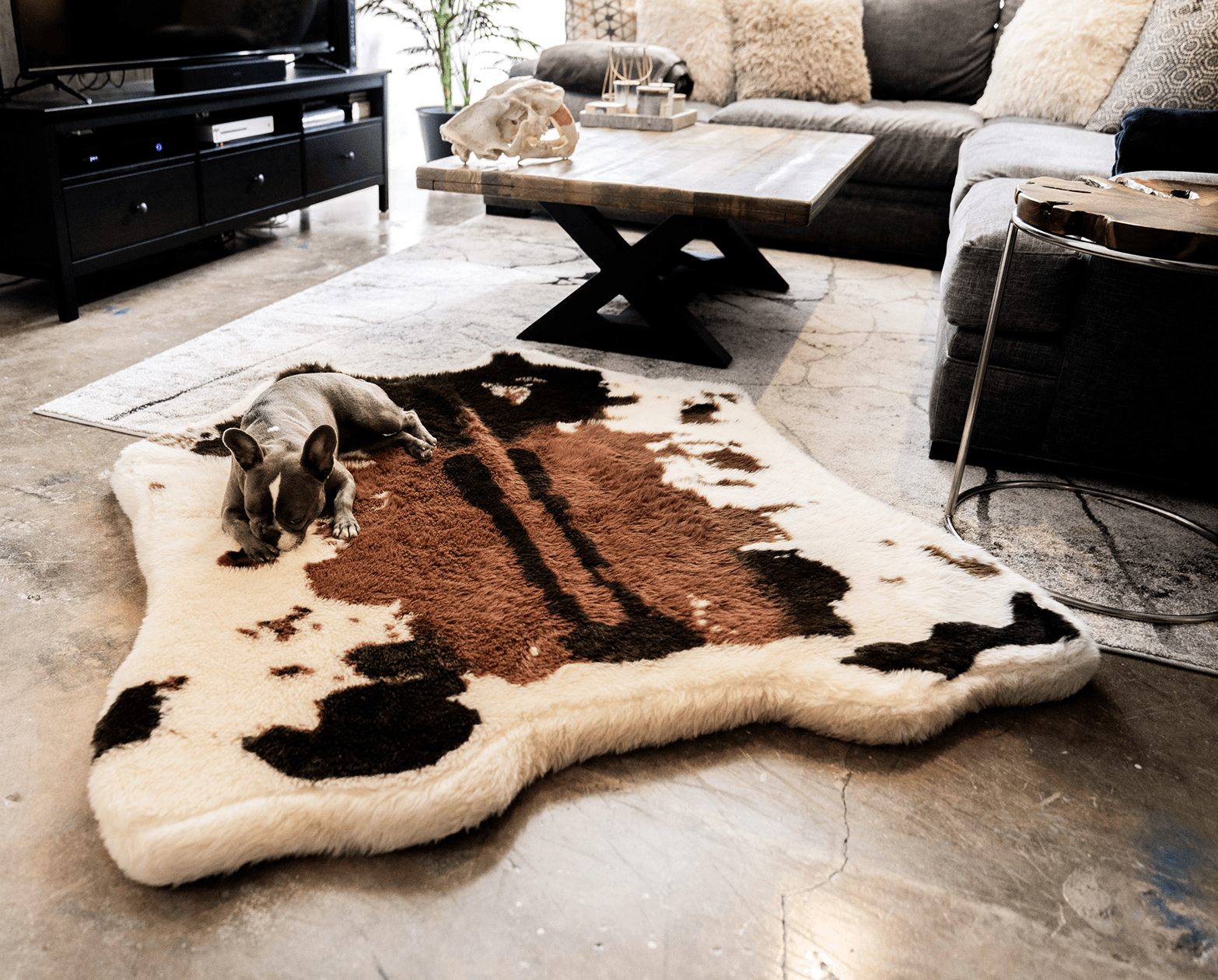 PupRug™ Animal Print Memory Foam Dog Bed - Brown Faux Cowhide、mySite、solidvoid