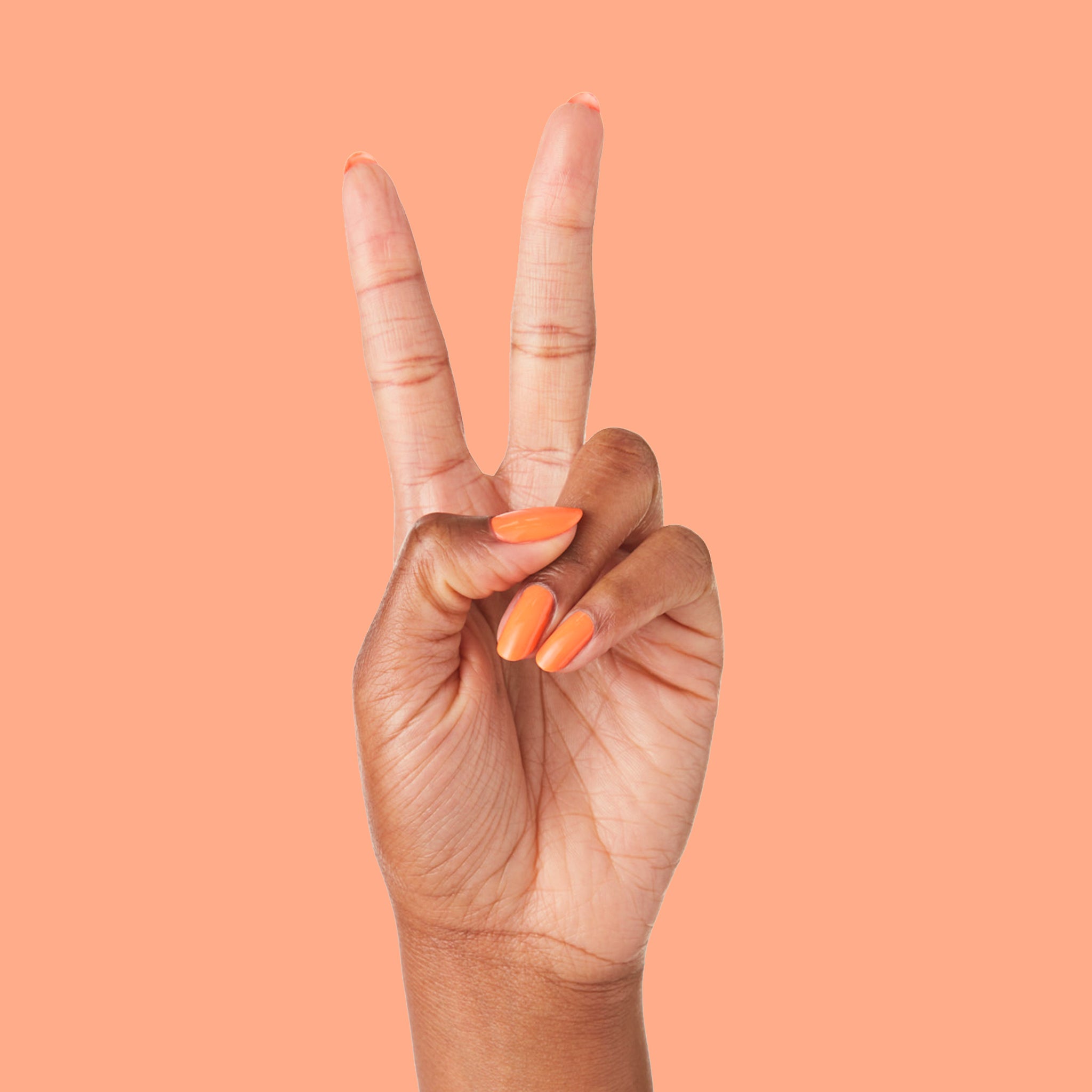 Orange Wedge、mySite、solidvoid