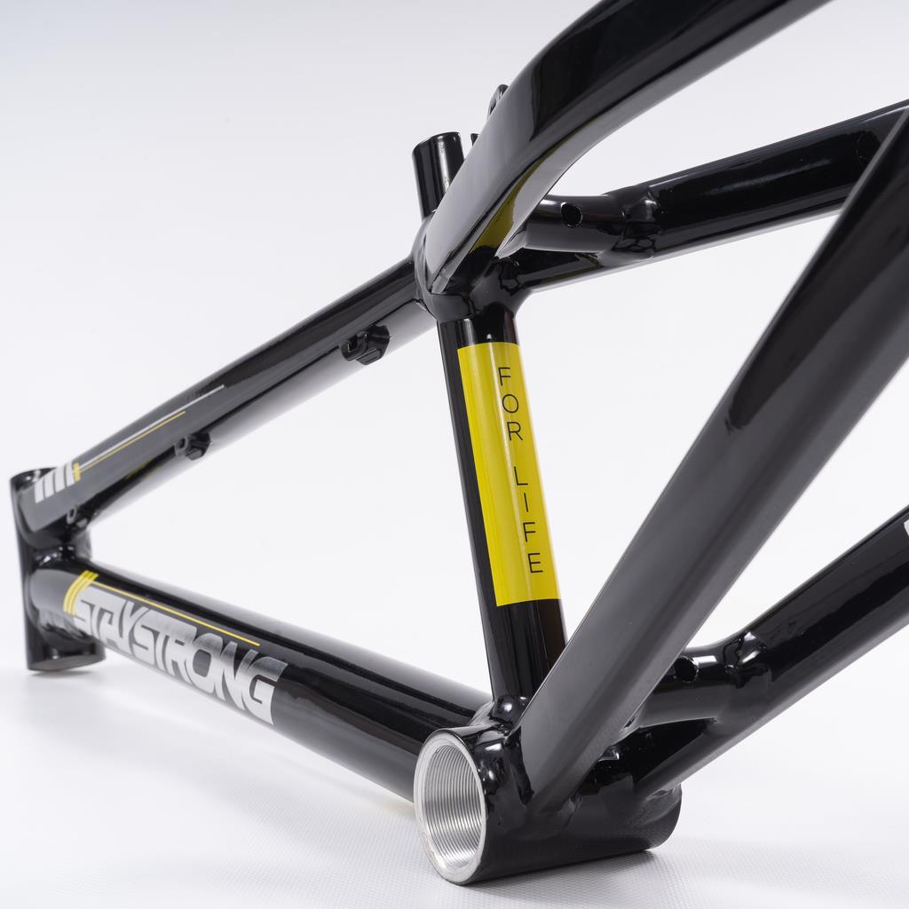  Stay Strong For Life 2023 V4 Cruiser Expert XL Race Frame - Disc Version、mySite、merchandisen